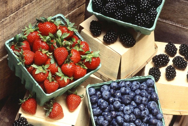 İnsan sağlamlığı üçün "superfood" hansılardır? 