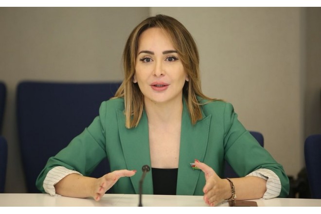 “Azad olunmuş ərazilərdə mərhələli şəkildə yeni yaşayış məntəqələri inşa edilir” - Nigar Məmmədova