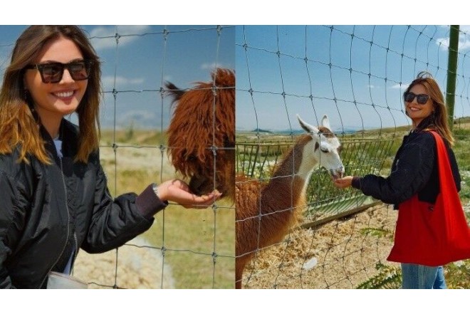 Van Dammın azərbaycanlı gəlini bu rayona getdi - FOTO