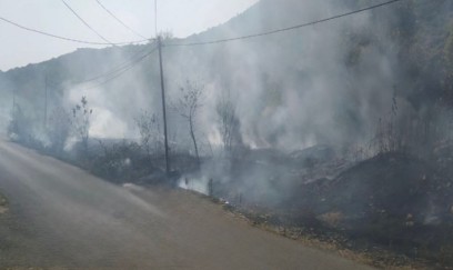 Qəbələdə yanğın törədən şəxslər müəyyən edilib 